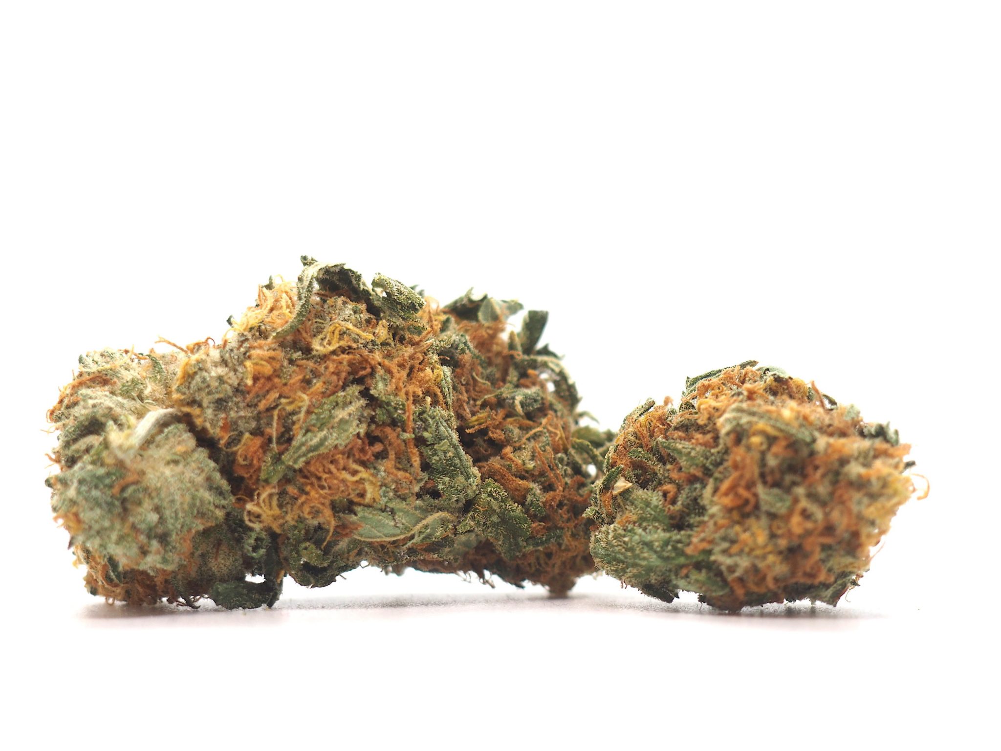 Grease Monkey Cannabis Strain - Grease Monkey Review - High Yields